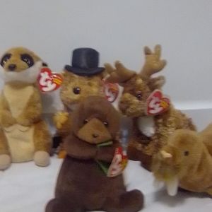 TY beanie baby set